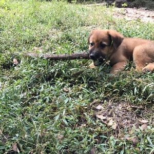 Meet your Posher, Kat